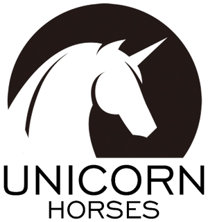 Unicorn Horses